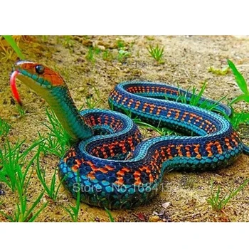 

5D Full Diamond Painting Cross Stitch Kit Diy Diamond Embroidery animals snake Pattern Diamond Mosaic Rhinestone decor A59