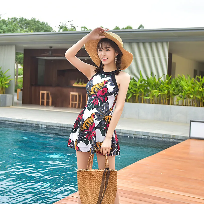 

Bathing Suit Women Swimwear One Piece Swimsuit Sport Beachwear Swimming Indoor 2018 Skirt Plain Plus Size Print Nylon Sierra