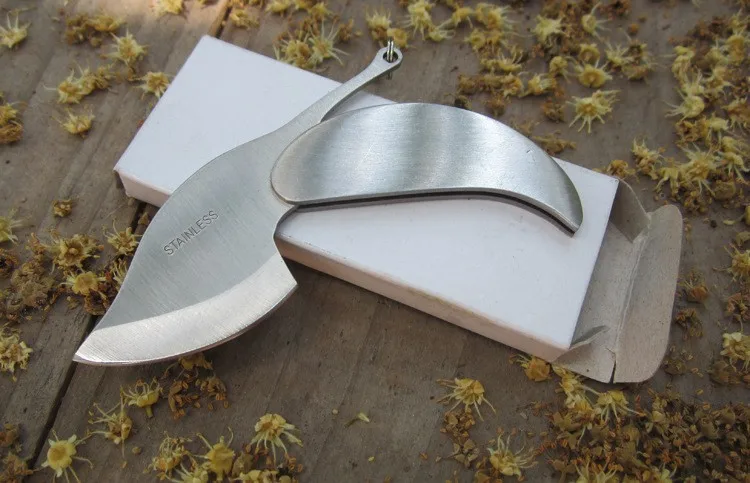 2068144956_742635196