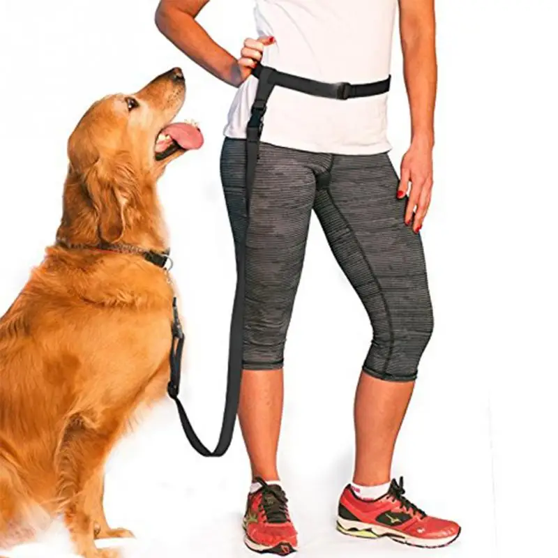 New Nylon Rope Hands Free Adjustable Walking Jogging Or Running Pet Dog