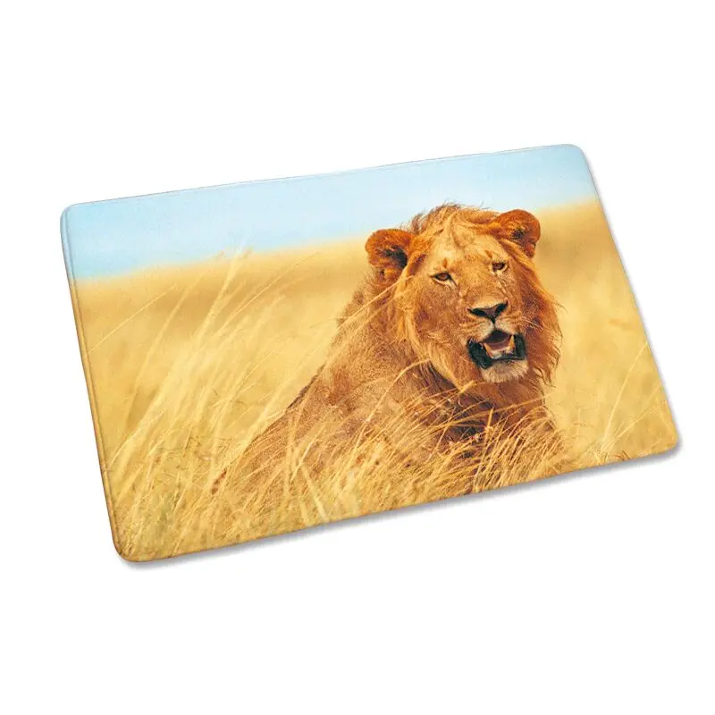 Outdoor : High Quality Outdoor Rugs 5x8 Outdoor Patio Rug 5 X 6 ...