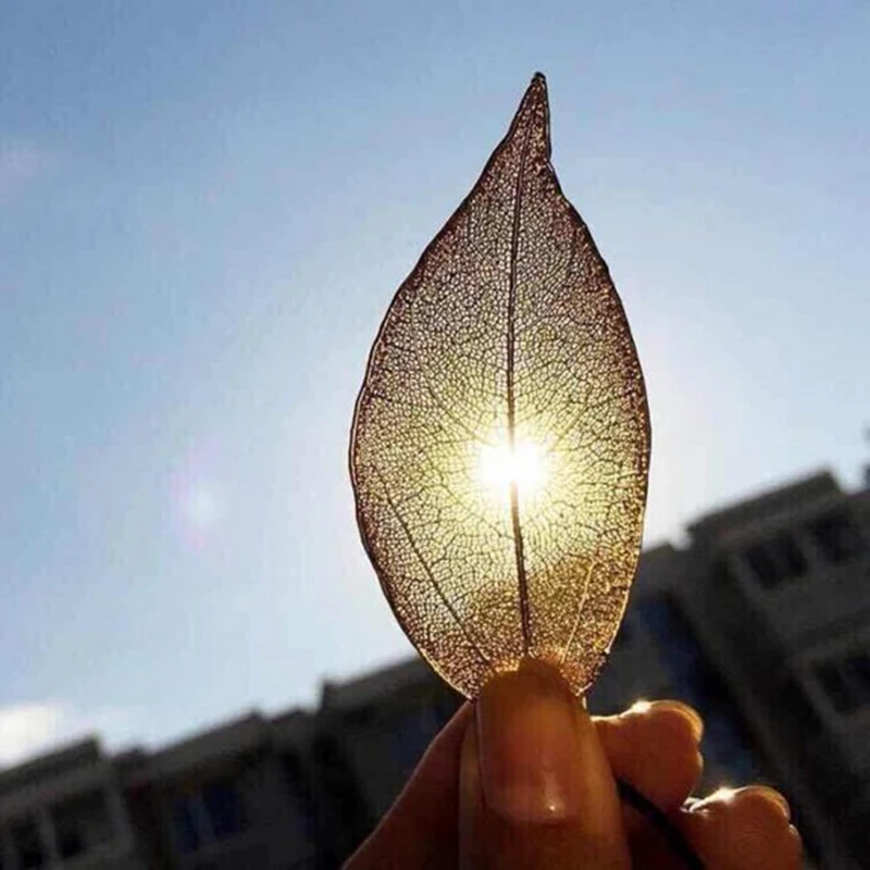 Vintage Leaves Earrings Necklaces Shellhard Long Natural Real Dipped Leaf Leaves Dangle Earring Ethic Women Jewelry 4Colors