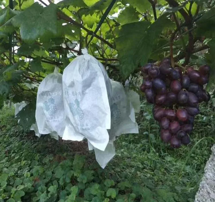 100X Grape Protect Bags Vegetable Fruit Against Insect Bird Pouch Bag Mesh O3O8 