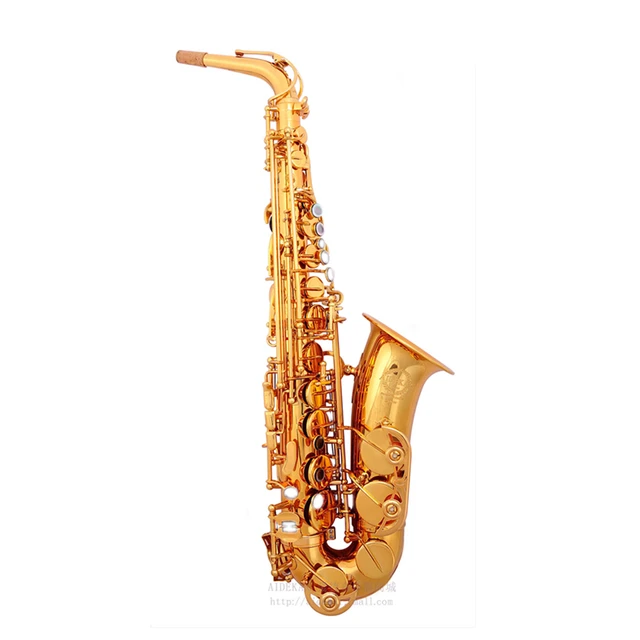 Cheap VECKY-600 alto saxophone gold lacquer engraved Professional playing Exercise examination design from SELMER alto saxophone 802