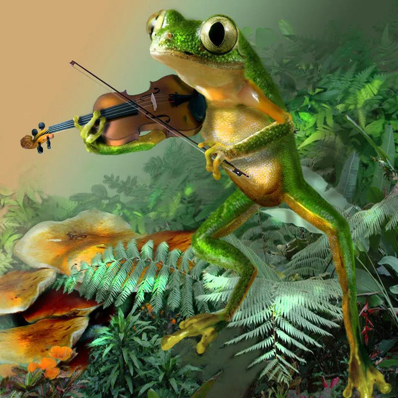 Full square/Round drill Diamond embroidery frog 5D DIY diamond Painting Cross Stitch Rhinestone Mosaic HYY | Дом и сад
