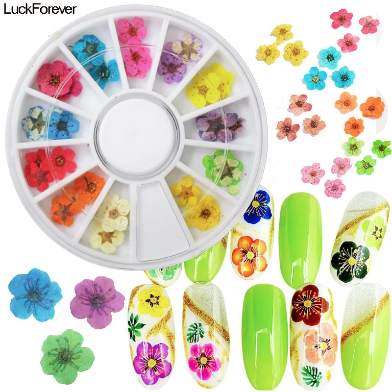 36pc Natural Nail Dried Flowers Petals Nail Decoration Gel Designs Floral Real Press Dry Flower