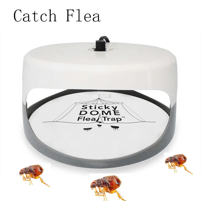 Catch Flea Device Cat Dog Electronic Electric Flea Puppy Fleas