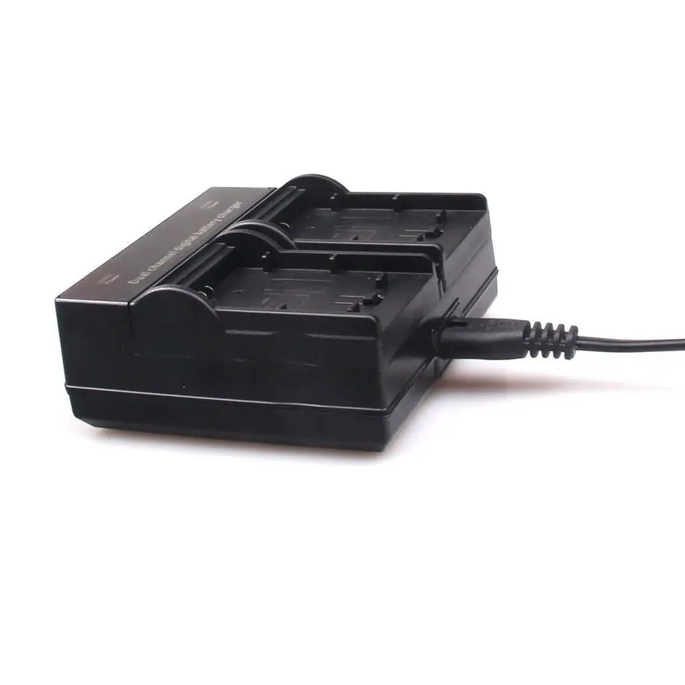 LP E8 зарядное устройство AC/DC для Canon EOS 550D 600D 650D 700D Rebel T2i T3i T4i T5i|fast battery charger|battery