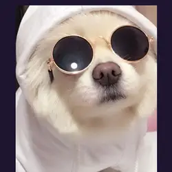 УФ-солнцезащитные очки для маленьких собак, кошек, щенка, котенка, летние солнцезащитные очки для фотосъемки