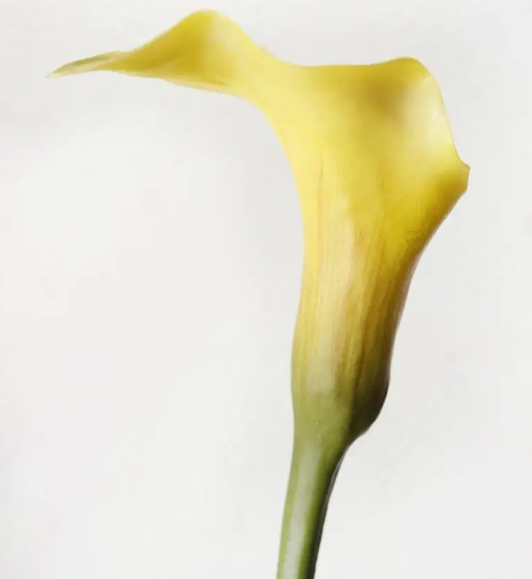 310