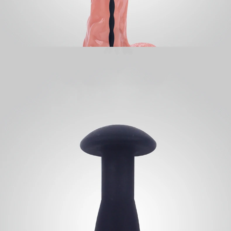 penis plug (13)