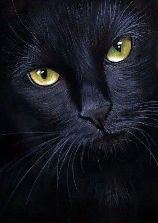 

5D Diy Diamond Painting Black Cat Cross Stitch Resin Stone Painting Square Drill Needlework Full Diamond Embroidery Animals