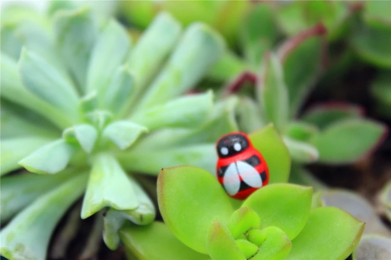 4011042696_857642845