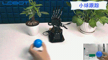 LOBOT uHand2.0 Raspberry 3B+ Программируемый распознавание цвета лица ПК/ручка управления RC рука робота с камерой 480P