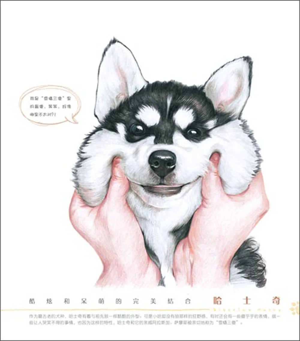 Matita di colore disegno libri per adulti Animale cane pittura cinese Tutorial libro dipinta A mano animale da pagnia art libro di testo in Matita di