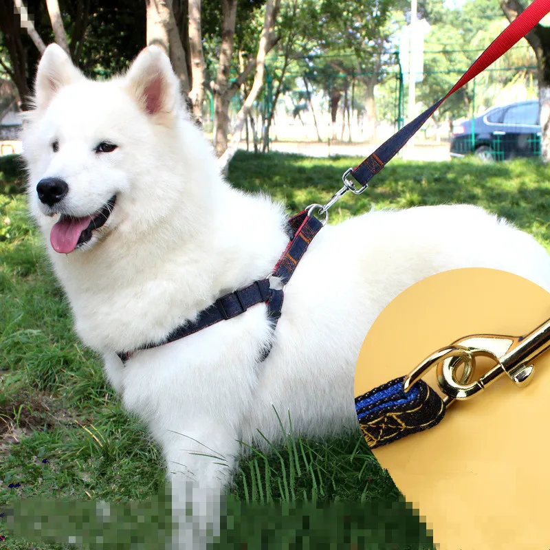 Buy 1pc Pets Jean Nylon Leashes Pet Rope Leash Dog