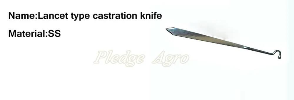 Lancet type