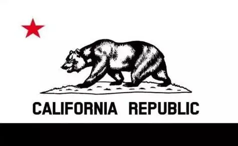 

California Republic State White And Black Flag 3ft x 5ft Polyester Banner Flying 150* 90cm Custom flag outdoor