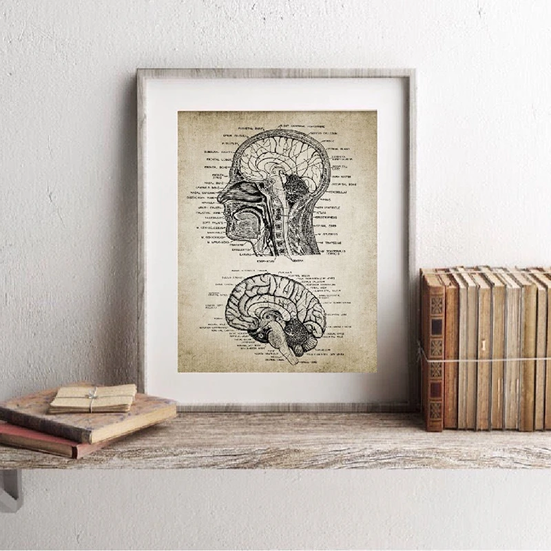 Vintage Human Head And Brain Anatomy Canvas Art Prints Poster Neuroscience Human Anatomy Painting Doctors Office Wall Art Decor