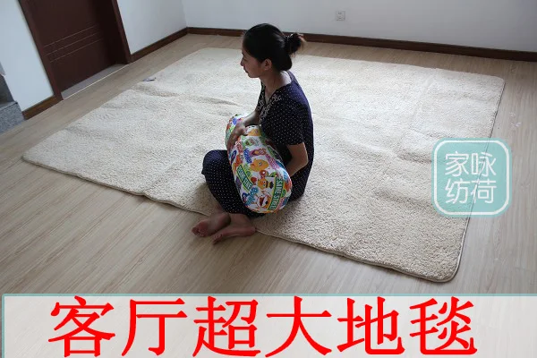 

Solid color plush carpet bedroom carpet