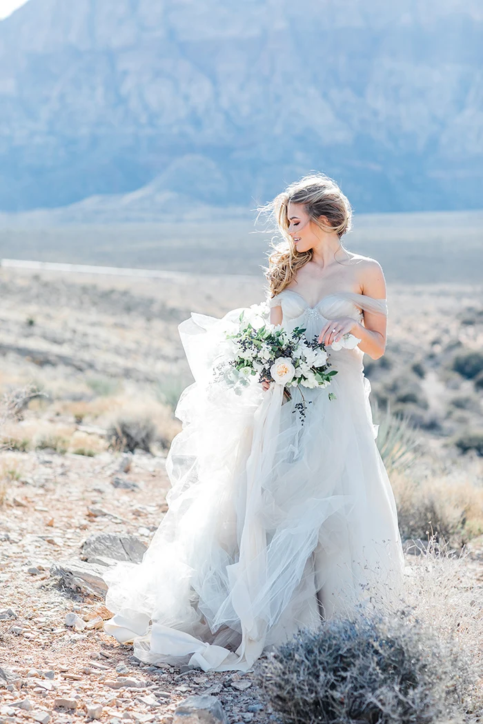 12-vintage-bridal-glam-red-rocks-canyon(pp_w480_h720)