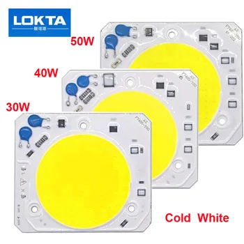 

5PCS/LOT Hight Puissance LED COB chip 30W 40W 50W Lamp AC220V Free Drive Light Source Smart IC for diy floodlight
