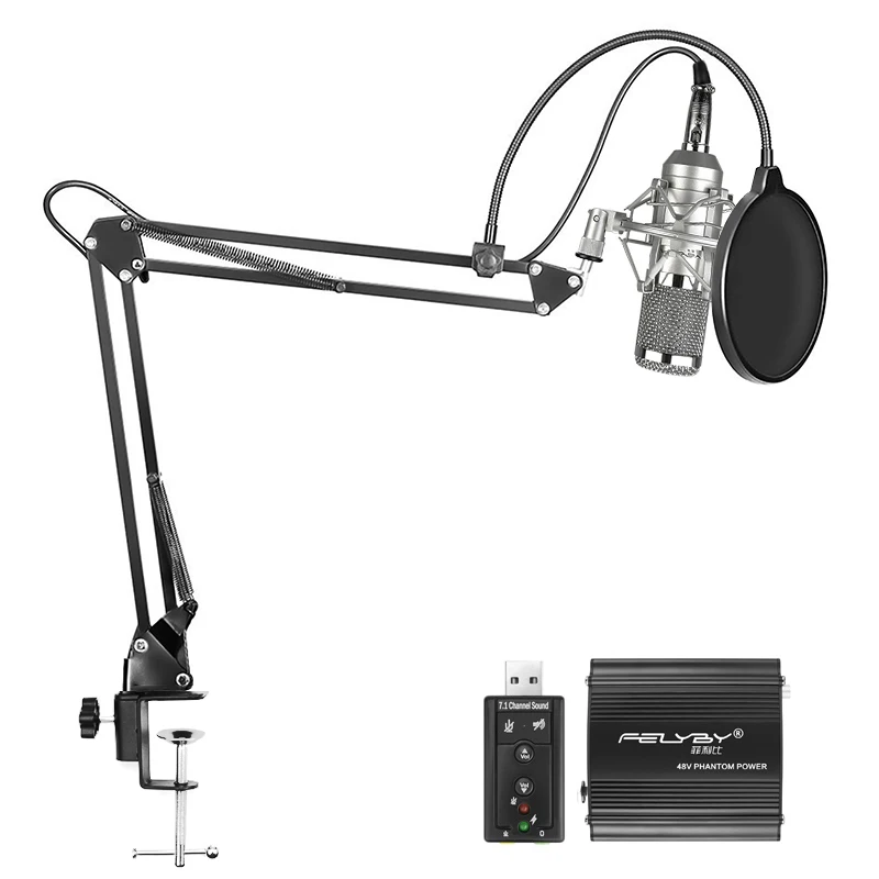 Silver Filter Power FELYBY профессиональный конденсаторный микрофон bm 800 компьютерный микрофон с веб-камерой 48В звуковая карта с интерфейсом Usb - Цвет: Silver Filter Power
