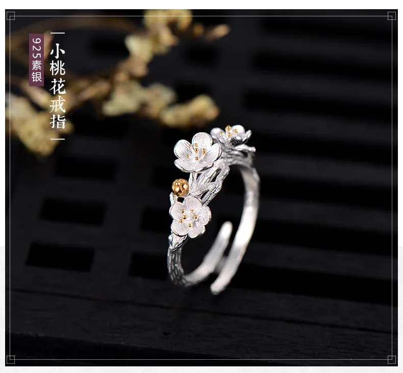 TB2wbSYc5ERMeJjSspjXXcpOXXa_!!2952405345