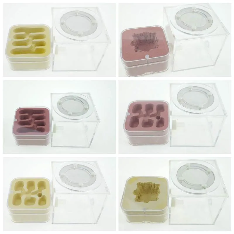 Acrylic plaster Combo Hybrid Nest Ants Farm Ant Formicarium For Ant Colony (5)