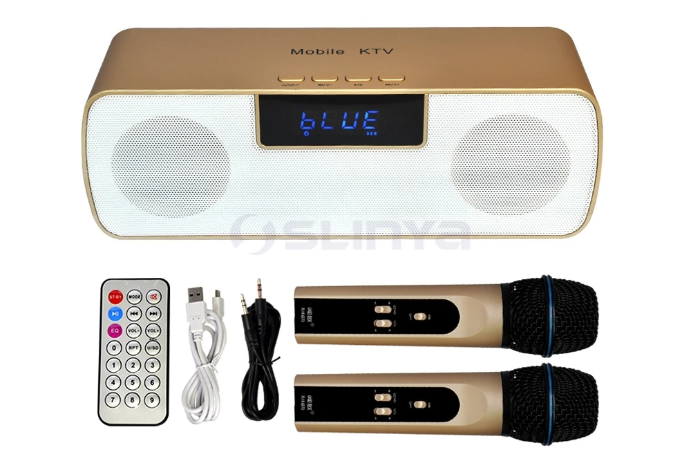 Speaker with wireless microphone 8040170721 (26)
