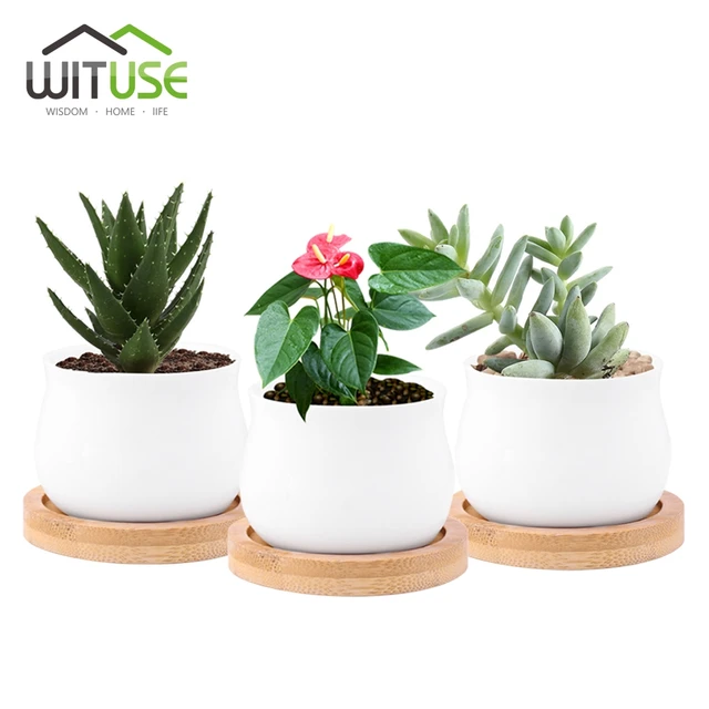Wituse 2x Glazed White Ceramic Plant Pots Crafts Flower Planter Wituse 2x Glazed White Ceramic Plant Pots Crafts Flower Planter Mini Succulent Herb Pot 3 Types