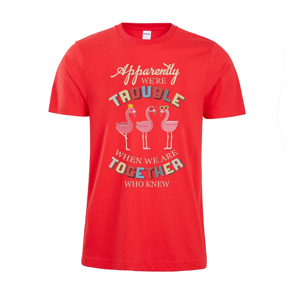 Очевидно что мы неудобны когда вместе которые знают футболка смешная