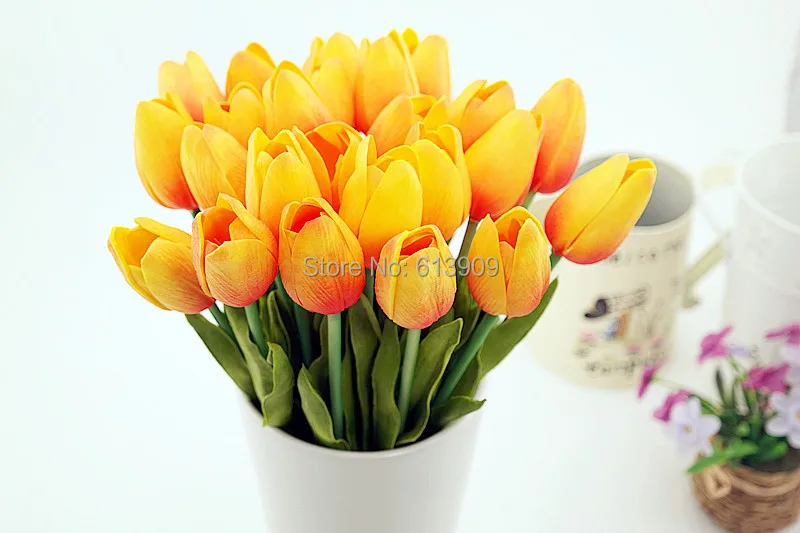 SAM_6435