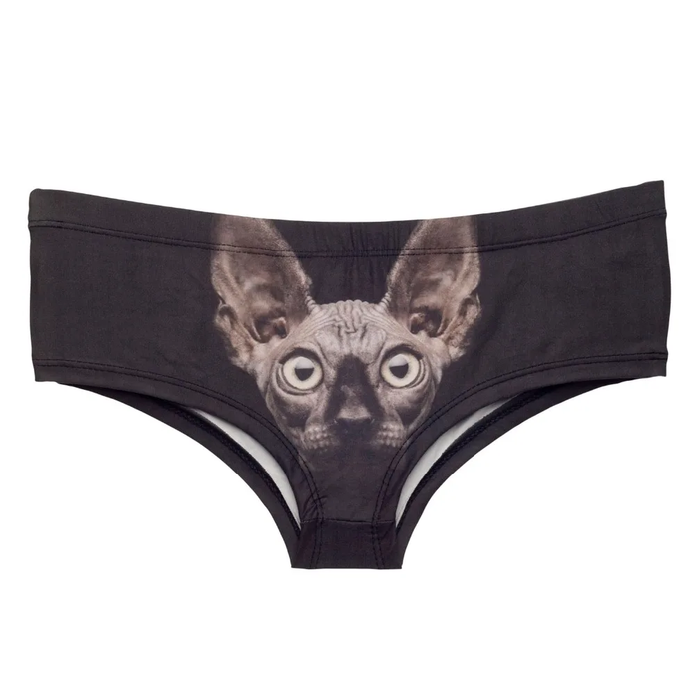 37063 SPHYNX CAT (3)