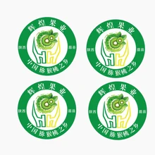 Индивидуальные OEM клейкая цена акции печать цмик глянцевое ламинирование этикетка баночки для шампуня