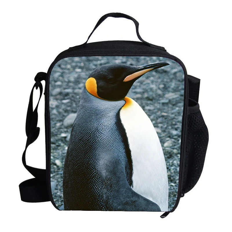 penguin lunch cooler