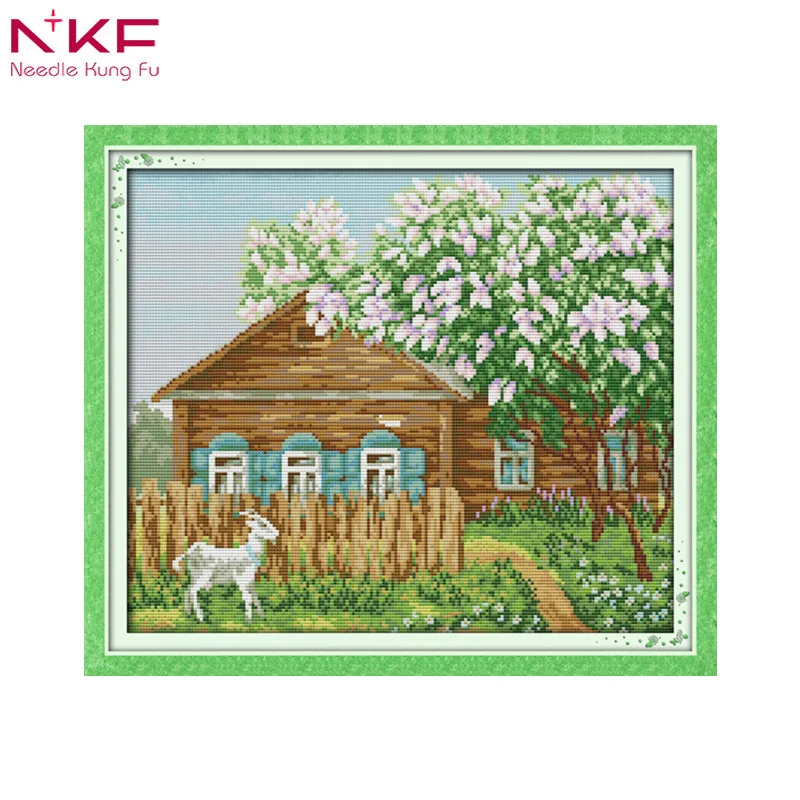 01NKF_