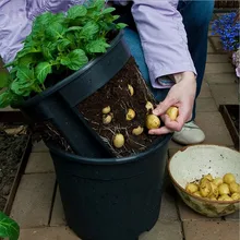 Pocketgarden 1 шт. пластиковый горшок для картошки семейный сад балкон сад горшки органические для выращивания овощей мешок картофеля