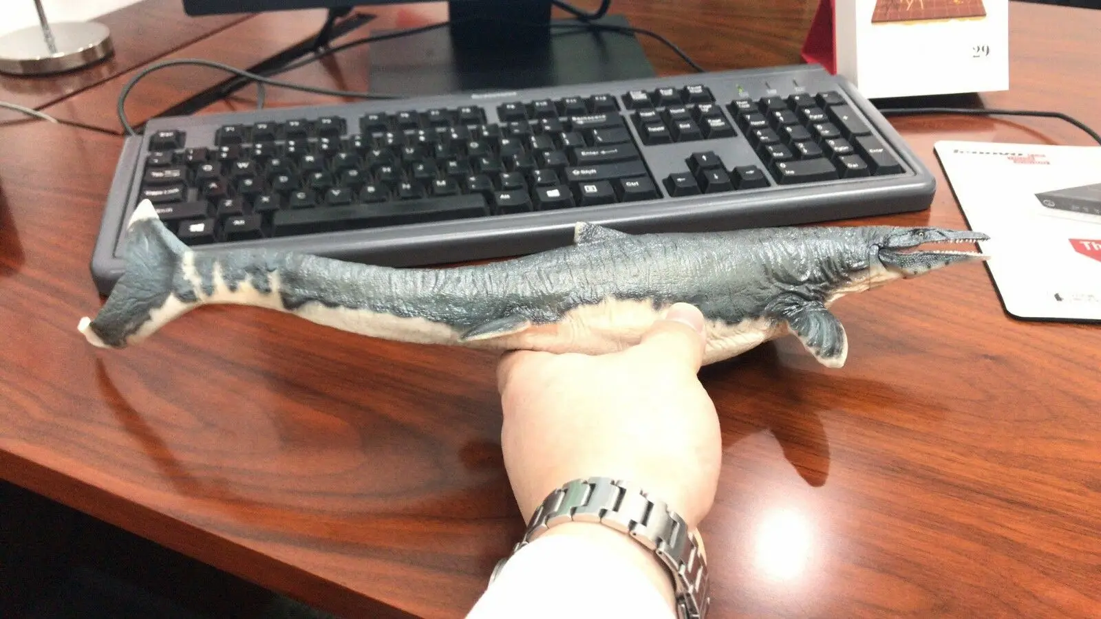 PNSO 1:35, огромные фигурки Mososaurs Mosasaurus, динозавр Юрского периода, модель животного океана, коллекция игрушек для взрослых и детей, подарок, домашний декор