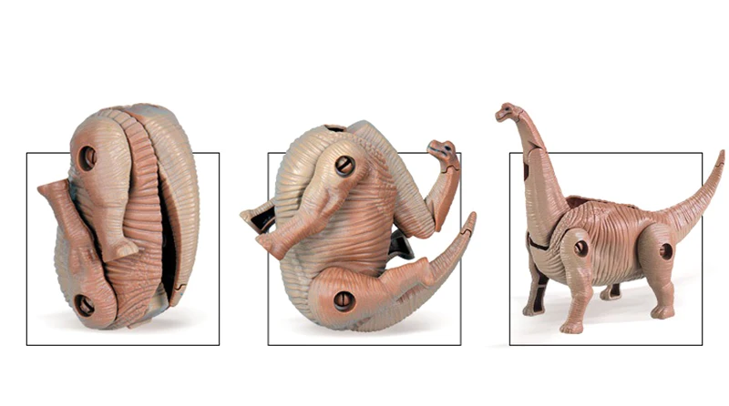 5151882798_1390131741