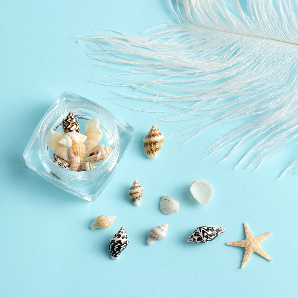 Натуральные мини раковины 3D украшения для ногтей Морская звезда морской пляж украшения DIY маникюр Дизайн ногтей украшения боди-арт УФ гель