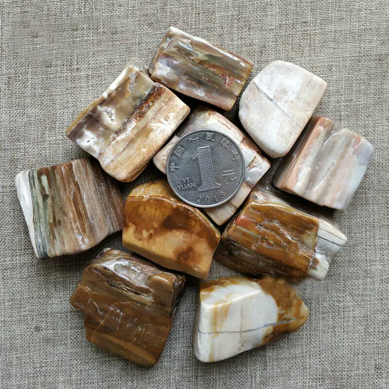 

Drop Shipping 100g Natural Wood Fossil Gravel Tree Jade Ore Specimen Crystal Original Stone Quartz Crystals
