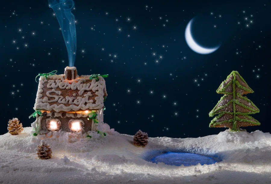

Laeacco Cartoon House Snow Crescent Moon Baby Party Photography Backgrounds Customized Photographic Backdrops For Photo Studio