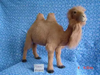 

big Simulation camel toy polyethylene&furs lovely camel model gift about 45x36cm y0266