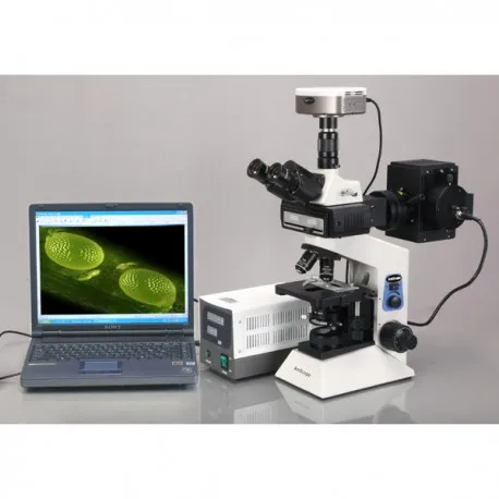 FM580T-microscope-5