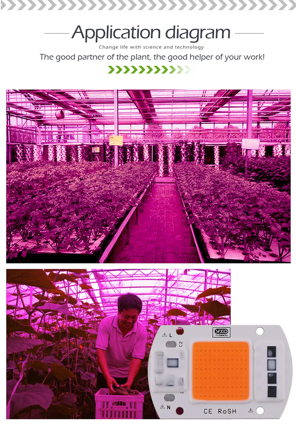 1 шт. Hydroponice AC 220 В 20 Вт 30 Вт 50 Вт светодиодный чип для выращивания растений полный спектр 380nm-840nm для внутреннего светодиодный светать