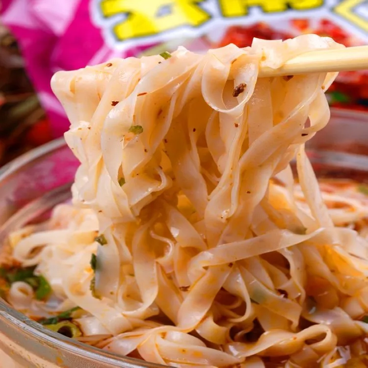 5 pc /lot mixed 5 taste spicy beef chicken China's traditional