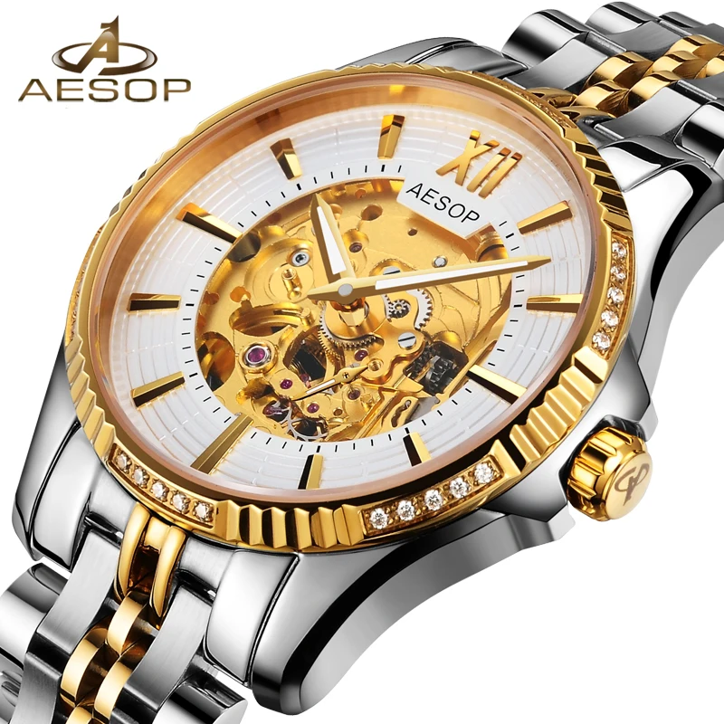 

AESOP A+++ Movement Automatic Mechanical Watch Men Gold 2019 Men's Watches Waterproof Skeleton Male Clock Men Relogio Masculino