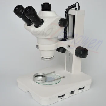 

FREE SHIPPING ! FYSCOPE 2019 NEW 4X--100X Professional Trinocular stereo microsope high quality Mobile phone repair