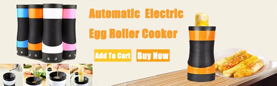 Egg Roller Cooker2